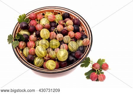 In An Earthenware Bowl, There Are Garden Ripe Delicious Gooseberries Of Different Varieties.