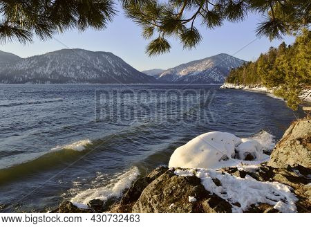 Snow On The Rocks On The Shore Of Lake Teletskoye, Which Does Not Freeze In Winter. Waves, Pine Bran