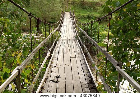 Transcarpazia Ucraina