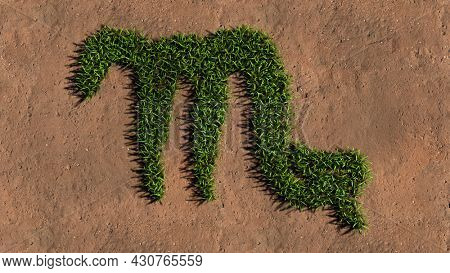 Concept conceptual green summer lawn grass symbol shape on brown soil or earth background, sign of scorpius zodiac sign. 3d illustration symbol for esoteric, mystic, the prediction power of astrology