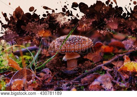 Poisonous Mushroom Among The Fallen Leaves, Nets And Grasses In The Forest. A Solitary Mushroom In A
