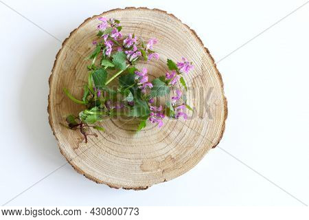 Closeup Of Lamium Amplexicaule, Commonly Known As Common Henbit, Or Greater Henbit, On A Wooden Boar