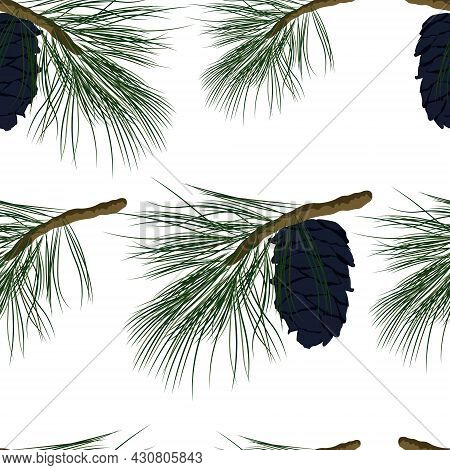 Cedar Branch With A Cone Vector Stock Illustration. New Year's Seamless Pattern. For Wrapping Paper.
