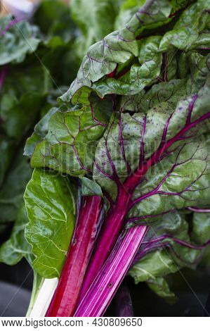 Swiss Chard, Beautiful Green Leaf With Red Stem