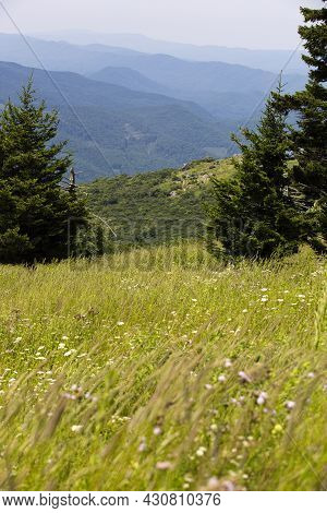 View From Whitetop Mountain In The Appalachian Mountains In Virginia