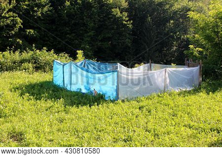Suburban Family House Small Urban Home Garden Protected With Makeshift Improvised Blue And White Nyl