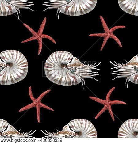 Nautilus Mollusk Nautilus Pompillius On A Black-white Striped Background, Hand Drawn Watercolor Illu
