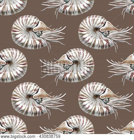Nautilus Mollusk Nautilus Pompillius On A Black-white Striped Background, Hand Drawn Watercolor Illu