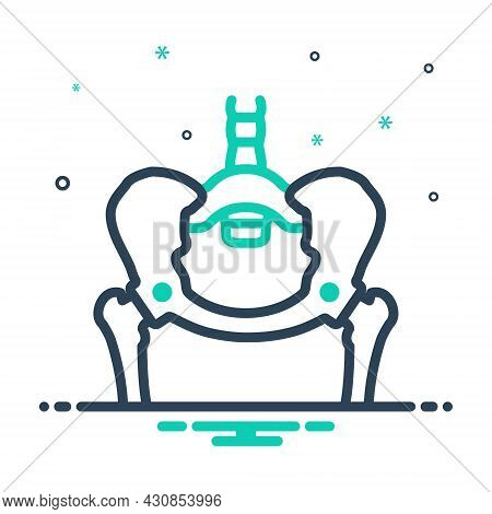 Mix Icon For Hip Bone Loin Pelvis Anatomy Hyp Body Femur Osteoarthritis