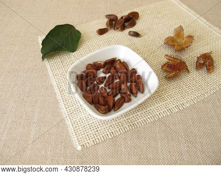 Shelled Beech Nuts In A Small Bowl