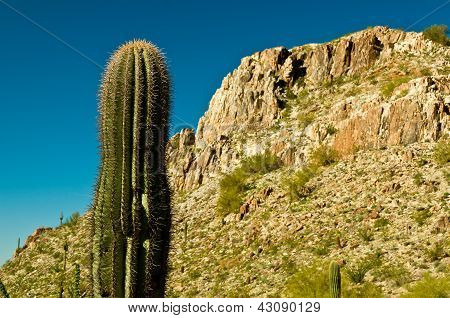 Piestewa / Squaw Peak