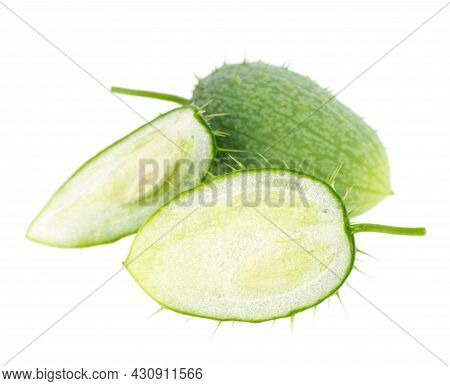 Ecballium Isolated On White Background. Ecballium Elaterium Or Wild Cucumber Pods.