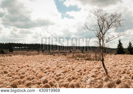 The High Fens, Hoge Venen, Belgium, Signal Van Botrange