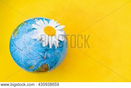 The Concept Of Ecology And Nature Protection. A Globe With A Daisy On A Yellow Background With A Pla