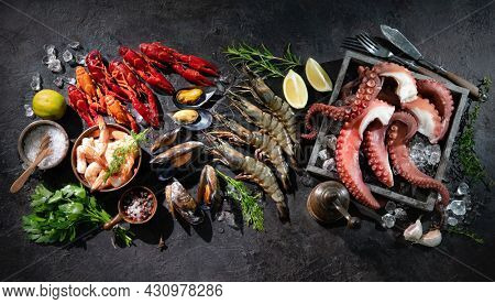Variety of fresh delicious seafood. Octopus tentacles, black tiger shrimps, king prawn and mussels with fresh herbs and seasoning on black rustic background