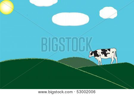 One cow in green grass pastures