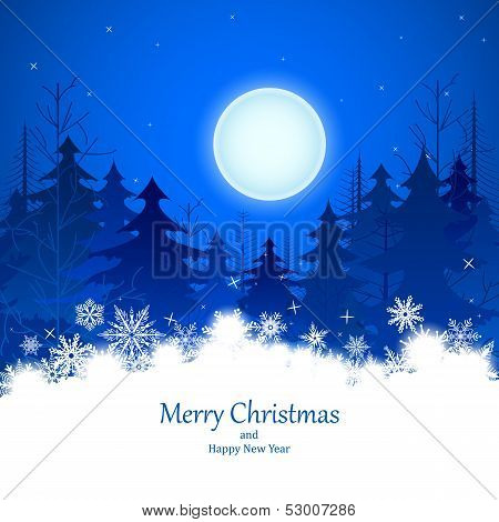 Christmas Winter Night