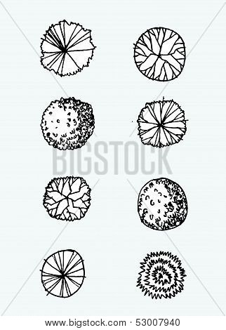tree in Vector illustration