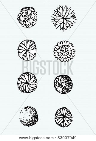 tree in Vector illustration