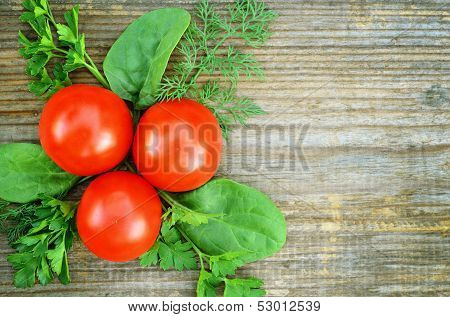 The Composition Of Tomato With Parsley, Dill And Spinach