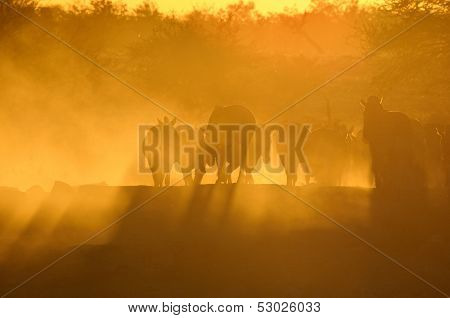 Sunset At Okaukeujo Waterhole, Namibia