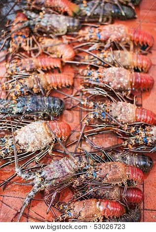 Many lobsters for sale at seafood market
