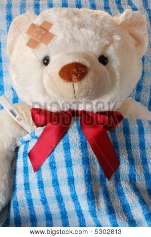 Teddy malato