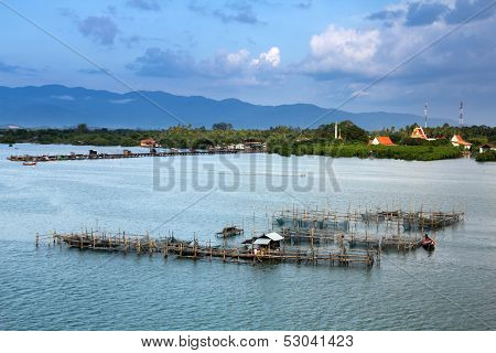 Fishing Farm