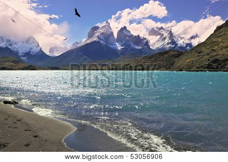 Sandy Beach Lake Pehoe in the national park Torres del Paine, Chile. The majestic cliffs of Los Kuernos. Above the lake fly birds of prey - the condor