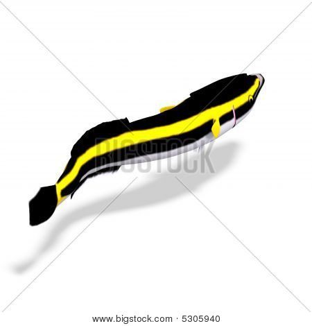 Pesce Remora