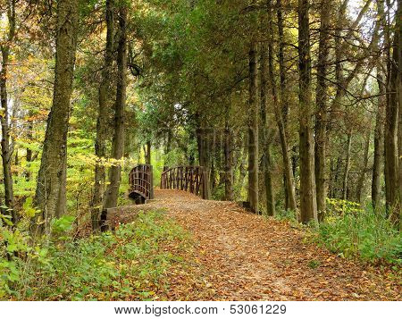 A hiking trail bridge
