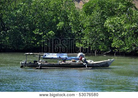 Mangrove forest and a canoe