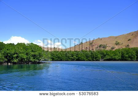 Views of the sea and mangrove