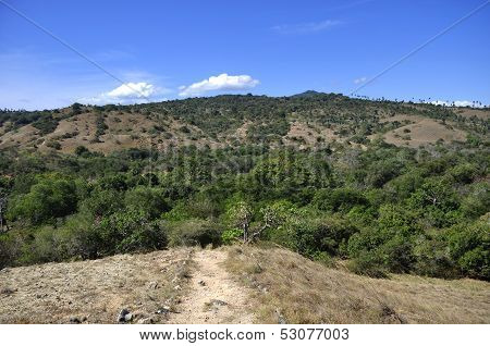 Trail at Komodo National Park