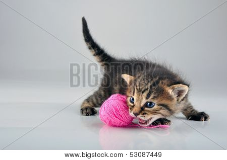 Little Kitten Playing With A Woolball