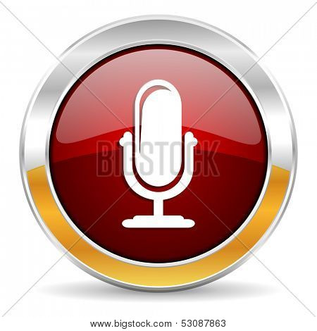 microphone icon 