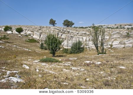 Bellissimo paesaggio di estate