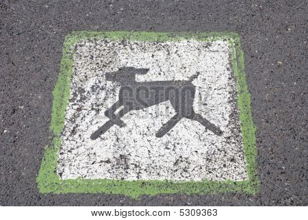 강아지와 함께 환영 합니다