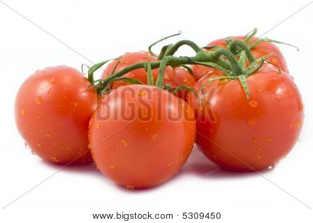 Tomates