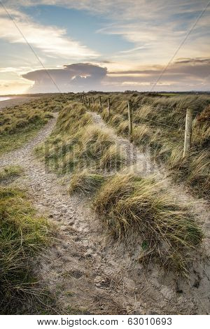 Blue Sky Summer Beach Sunset Landscape