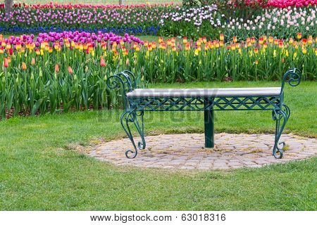 Park Bench In Tulip Flower Garden