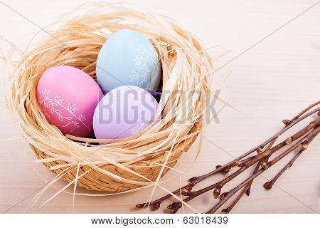 Easter eggs in nest