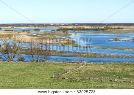 Early spring in the Biebrza National Park, Poland, Podlasie