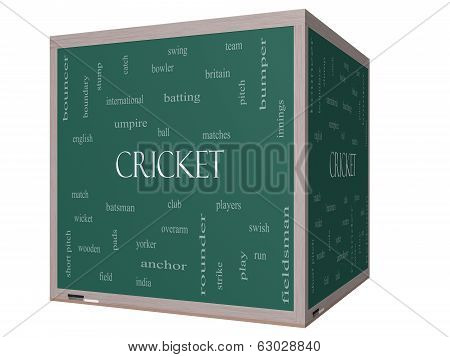 Cricket Word Cloud Concept On A 3D Cube Blackboard