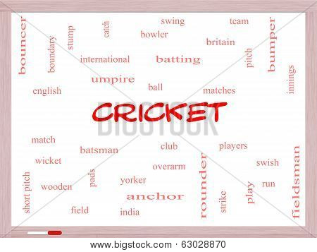 Cricket Word Cloud Concept On A Whiteboard