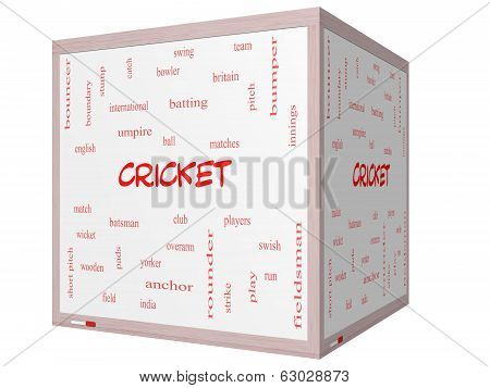 Cricket Word Cloud Concept On A 3D Cube Whiteboard