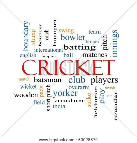 Cricket Word Cloud Concept