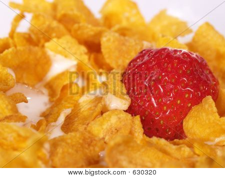 Cereais de pequeno-almoço