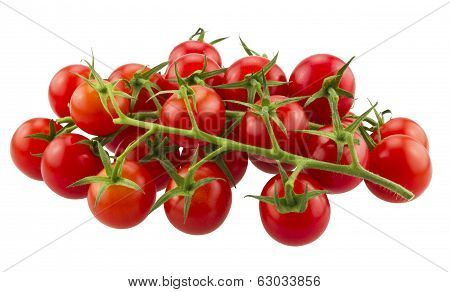 Ripe Fresh Cherry Tomatoes on Branch. Isolated on White