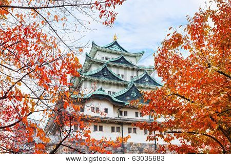 Nagoya Castle  with Sky background in Autumn